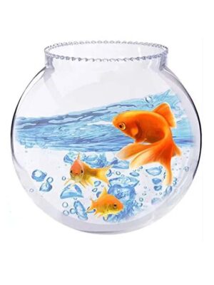 6-inch glass fish bowl for small freshwater fish or plants, available at the best aquarium shop in Kukatpally near you, perfect for home or office decor.